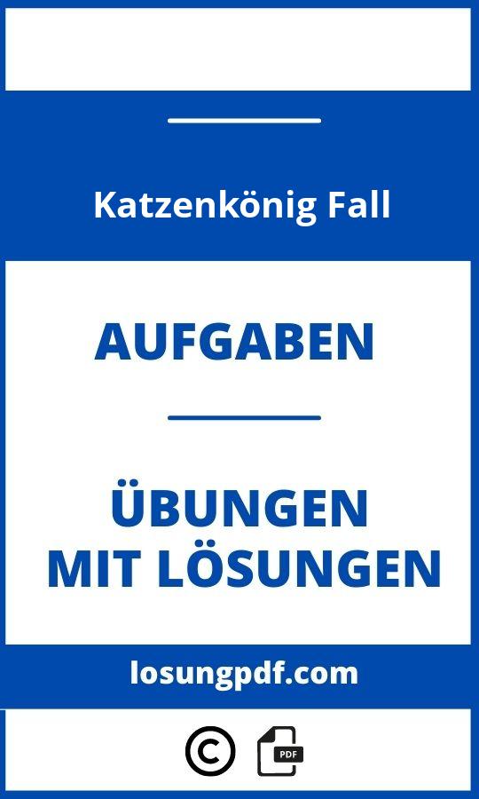 Katzenkönig Fall Lösung