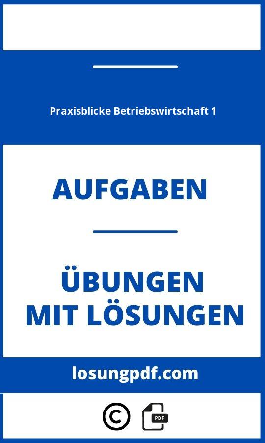 Praxisblicke Betriebswirtschaft 1 Lösungen